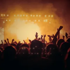 A concert crowd silhouetted against a glowing orange stage